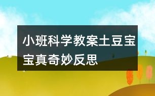 小班科学教案土豆宝宝真奇妙反思