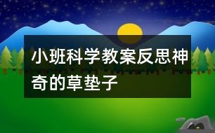 小班科学教案反思神奇的草垫子