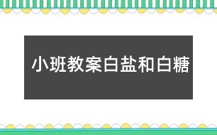 小班教案白盐和白糖