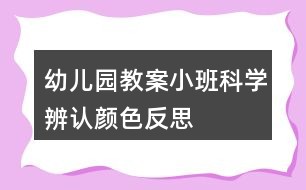 幼儿园教案小班科学辨认颜色反思