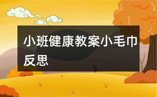 小班健康教案小毛巾反思