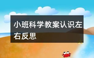 小班科学教案认识左右反思