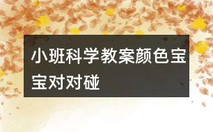 小班科学教案颜色宝宝对对碰