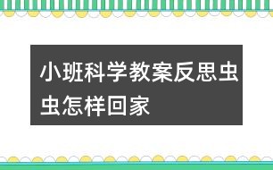 小班科学教案反思虫虫怎样回家