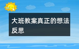 大班教案真正的想法反思