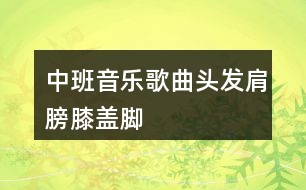 中班音乐歌曲头发肩膀膝盖脚