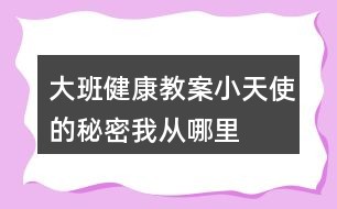 大班健康教案“小天使”的秘密我从哪里来教案反思