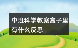 中班科学教案盒子里有什么反思